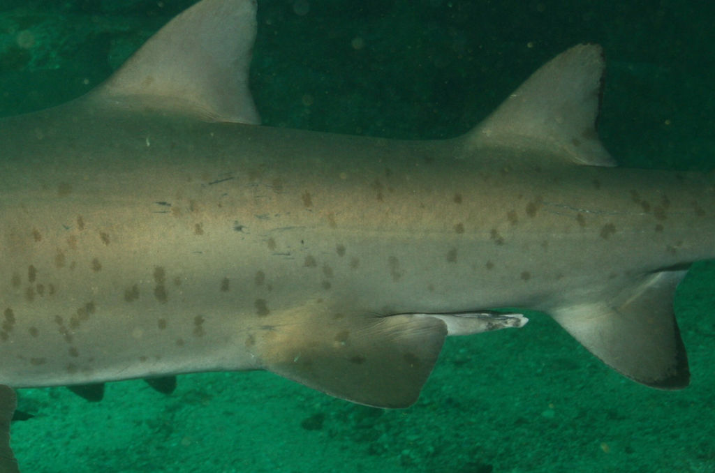 f3aed7fc-9d07-4400-9e26-3acbedce09bc