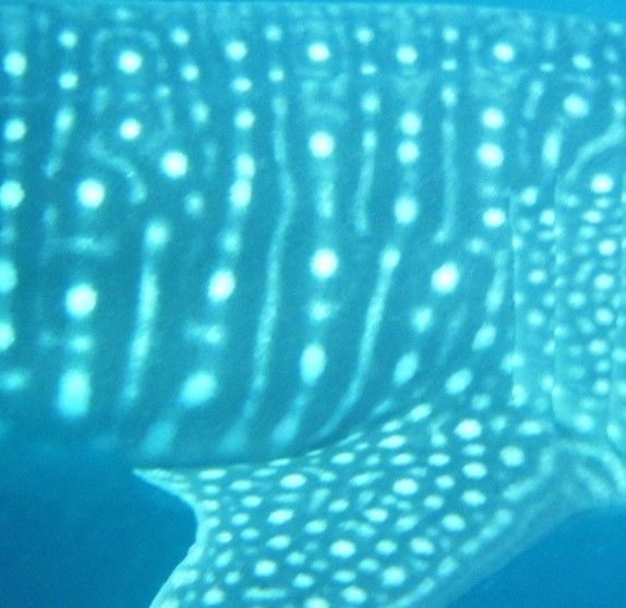 7fad0e35-4d8d-499b-9183-dca32d3ccc32