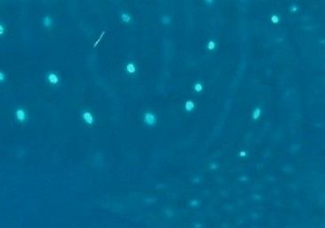 6c0e9d44-37a8-4e38-be1a-967d445ec724