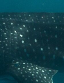 182162e9-8de5-4034-824b-023c3e054617