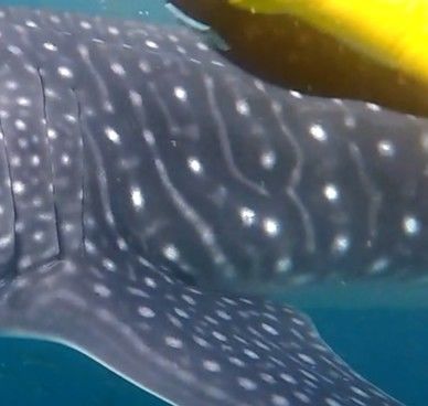 4bf9c650-b72d-4f87-b920-344493d1008f