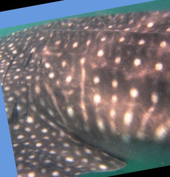 8dfb3102-67f6-4b95-b4e5-bfa0321219e0