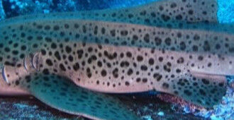 8076234f-19b9-46ad-a672-f70298bfd829