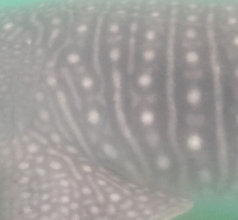 010db894-ffda-41f9-91e9-92b6b2687e29