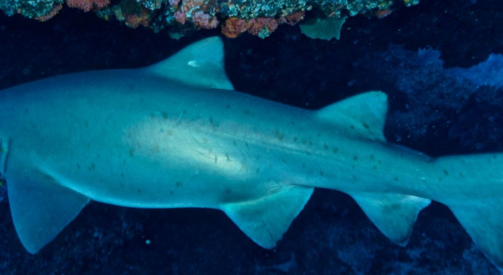 1703228b-2ae2-406b-88b6-75ed13fc9b2b