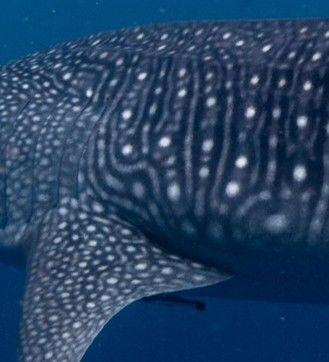 9cb234f9-eb69-403a-bb0a-9db54232e56f