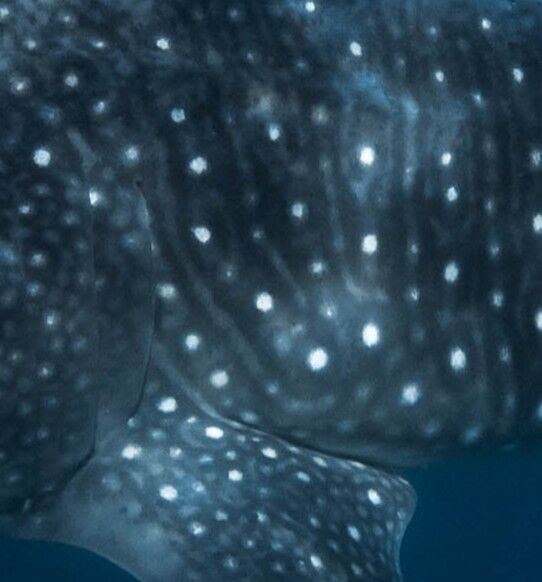 5acf5891-f105-45c7-8787-72444affe42b