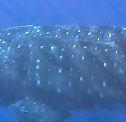 9f50db44-edee-46c1-9536-2690bc9b4216