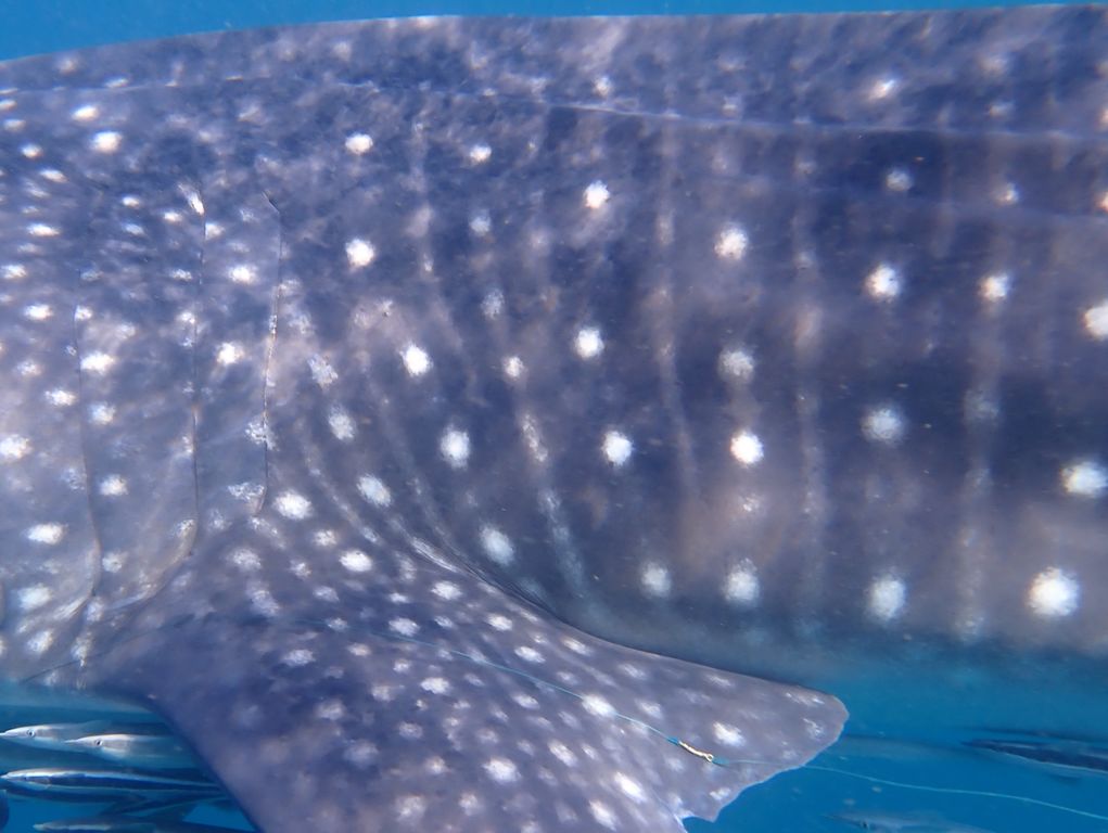 145c6c54-57f6-4fb4-bab6-003301a174af