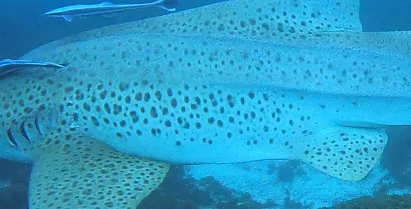 6a2bbd36-674f-46a5-ac56-951197cfdb43