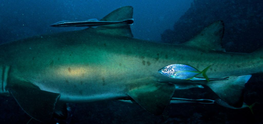 69f2f554-dd37-418e-a341-a453c9b55915