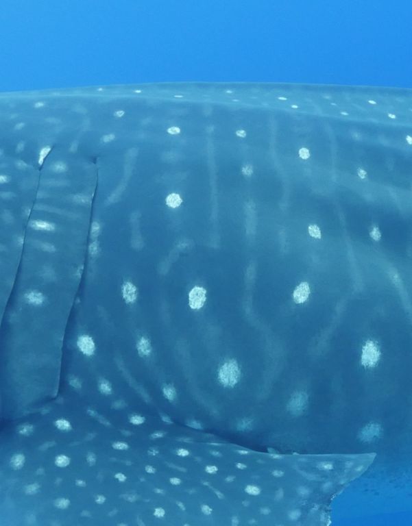 b33db11e-a045-4d3a-96b4-6bc3bc5abf1f