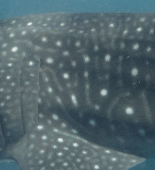 bab311a4-78c9-4ded-9f8a-7799369b557d