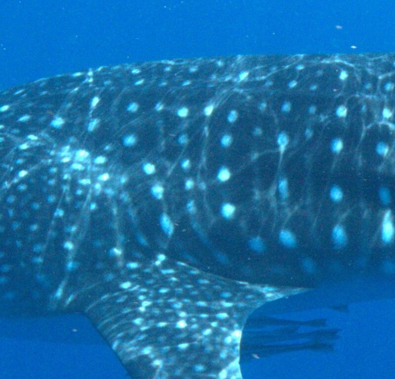 b4b9c729-7475-41f5-ba01-5c016e06495d