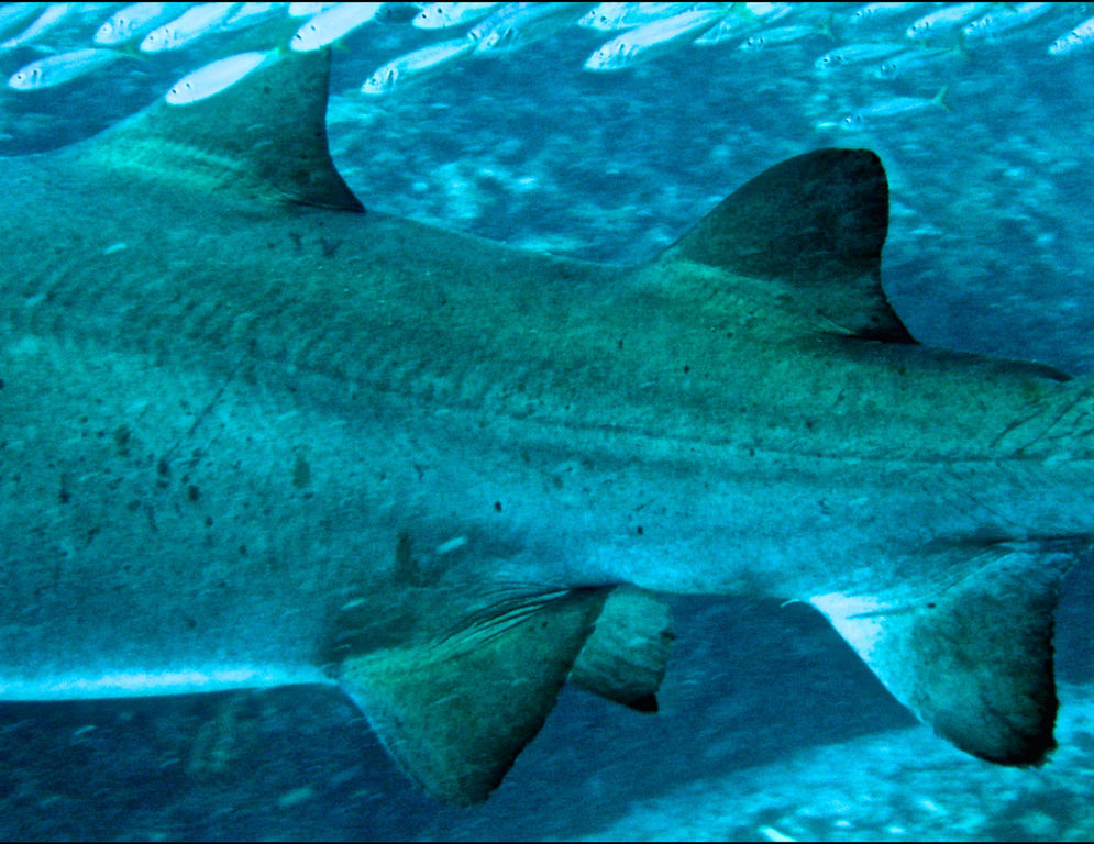 1a4f63b9-cf67-40a9-b413-6df1aebd7b8e