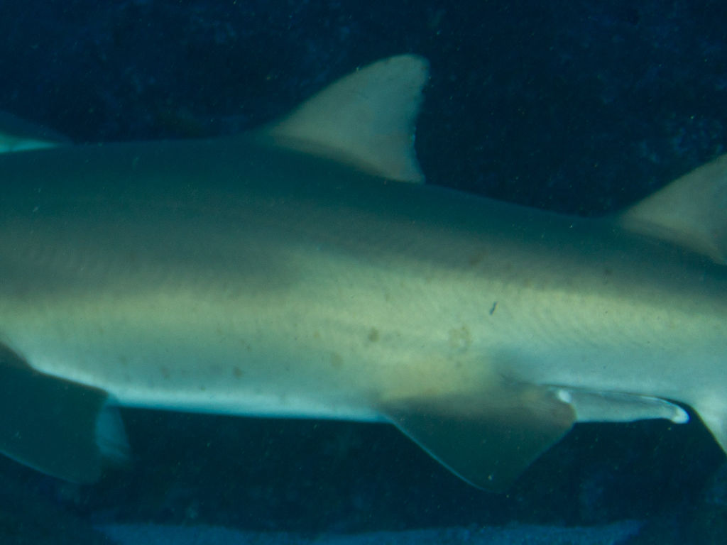 5b489aa7-ae91-43c9-90d2-2878a6f444c5