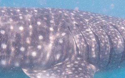 61d65961-5823-4f49-a4f0-9caed449f22d