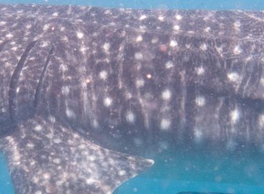 61d65961-5823-4f49-a4f0-9caed449f22d