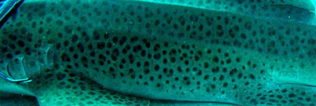 a9d93dc9-274c-4c7e-b93f-cce811e4bf9f