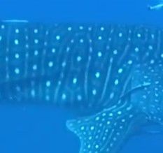 4ec61fb7-be7d-4b20-83d5-7865851c4506