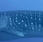 c27ff8bd-9b94-4b35-ae45-23258d29aa2e