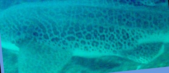 4f893c59-9bc0-4aaa-82a5-6bad252723c3