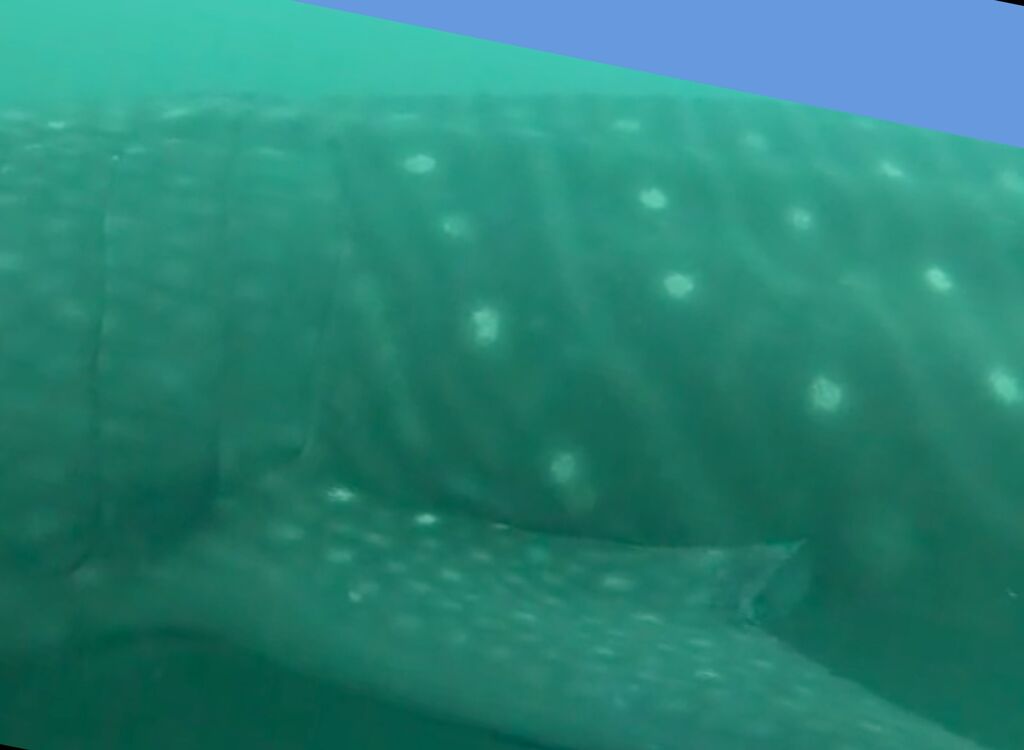 131b65c6-7cad-48d8-a0ec-27c09584e7f1