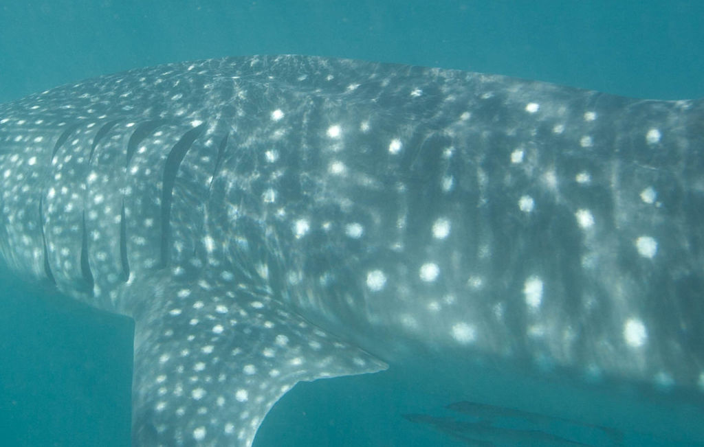 3e749d28-9976-4110-9cc4-5b325b2e8f85