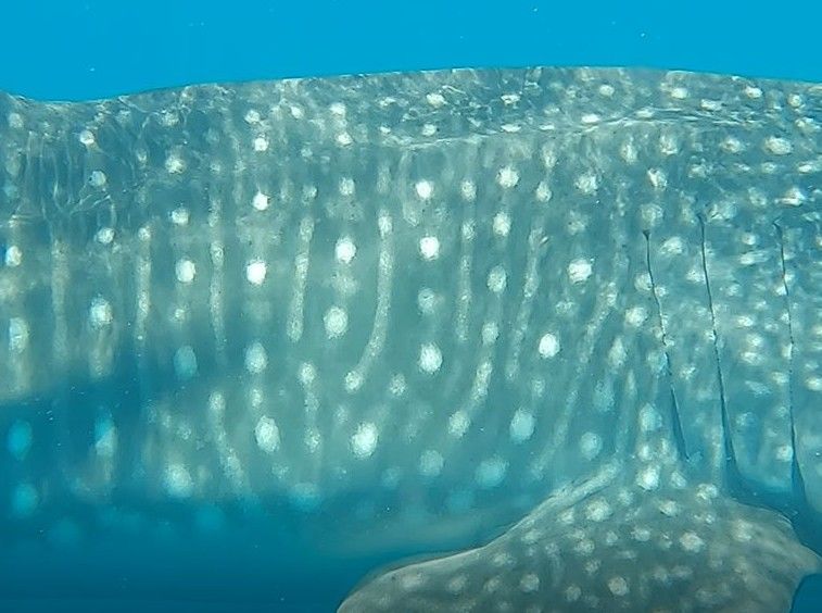 1df496c0-bed4-4b38-bfac-b6f121b45f23