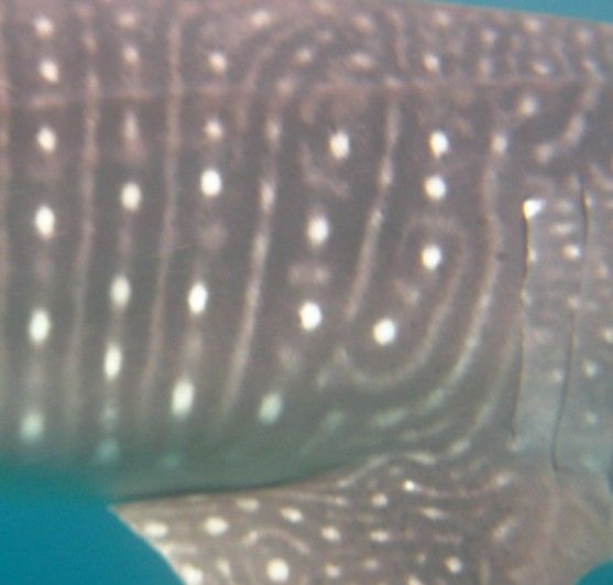 2f10490b-aa19-4b10-81d3-b1bf3ab5f9bc