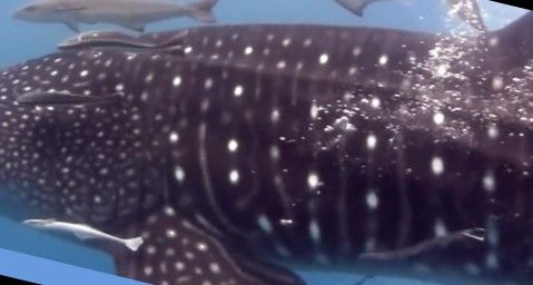 8db2f34e-ac14-4a26-84c0-126a85109294