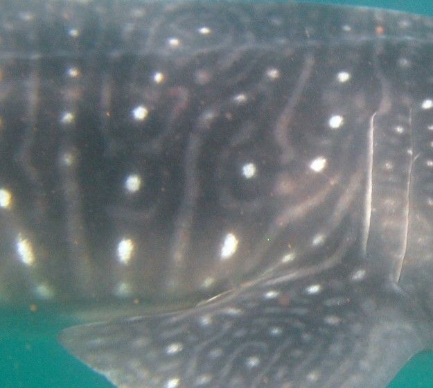 75faa009-0e41-4327-86f5-54256d56b904