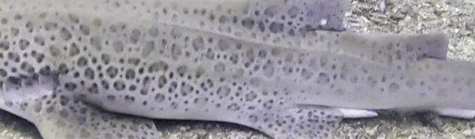 eae2a75e-bc8c-45e1-8380-6691e9f6bac3