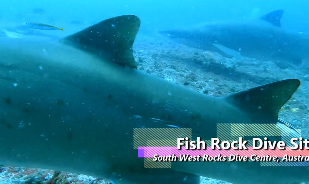 5e591e18-5585-4633-a6f7-cc7c0e50c886