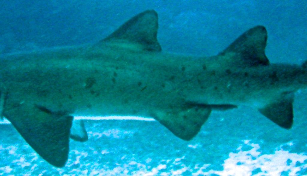 949e05a7-b0c7-490f-921e-68ac338683fe