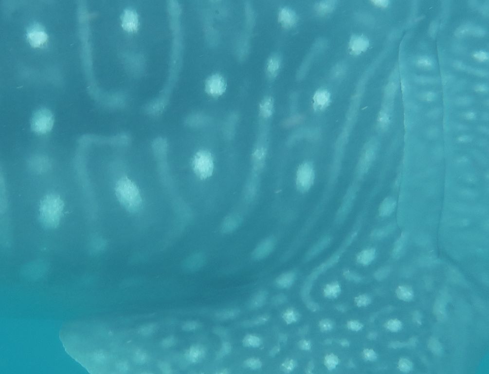 8264421f-88ff-4b54-9869-c659744f10e1