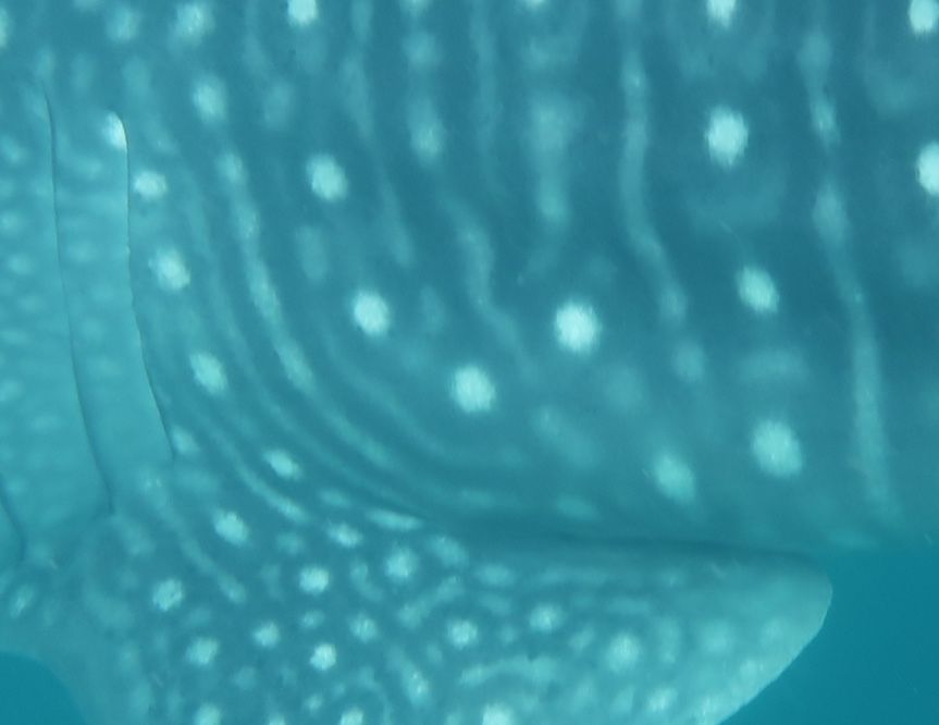 8264421f-88ff-4b54-9869-c659744f10e1