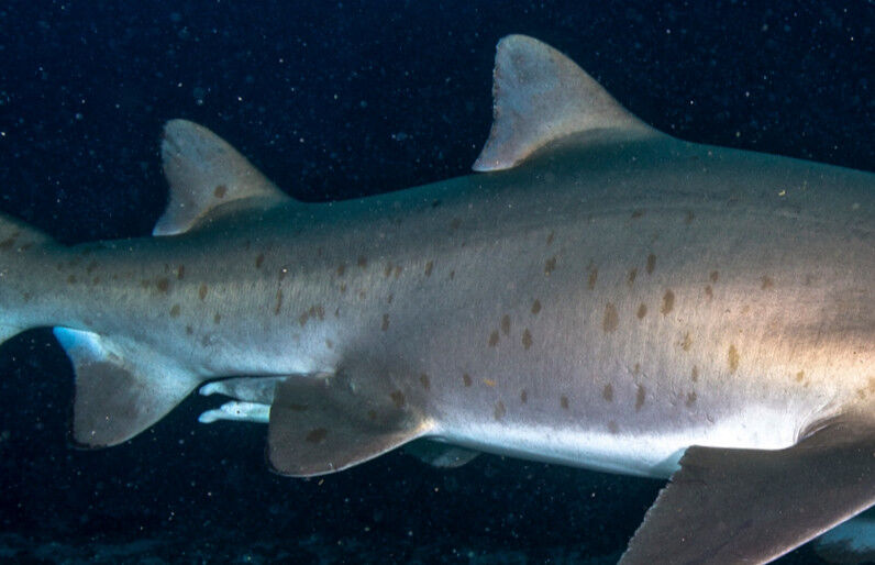 e30df41c-d258-4b16-ac21-d8d6e36d99ae