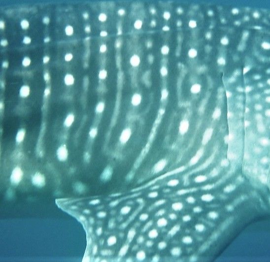 7e499fc8-356f-41a9-a3bc-b52d4b601dfa