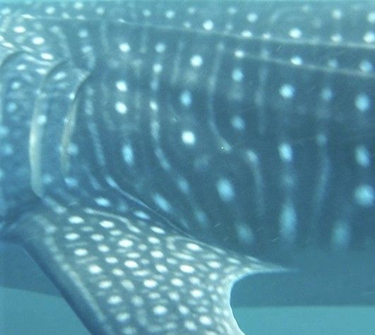 7e499fc8-356f-41a9-a3bc-b52d4b601dfa