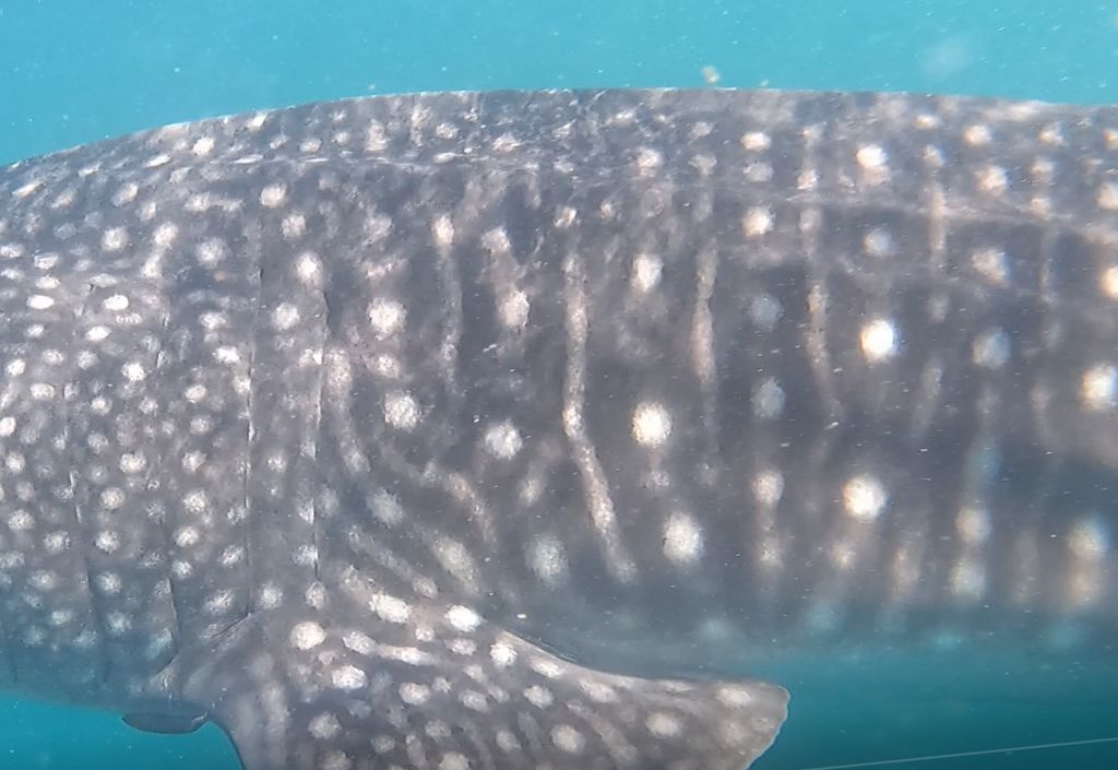 5121b469-d116-408e-8f63-2eddcdc27623