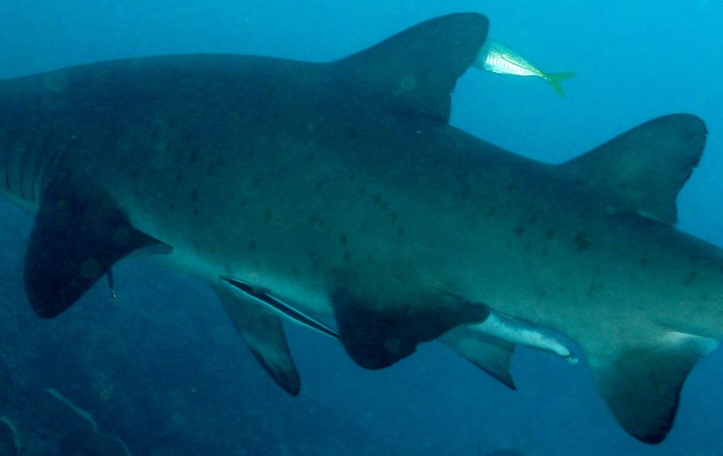 639ac39f-8dbe-495b-afaf-dab4a988696a