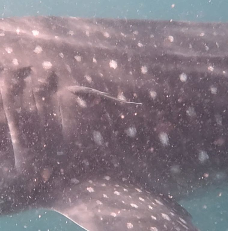 b8dfc1b5-29a0-47b4-996c-3501469bfacc