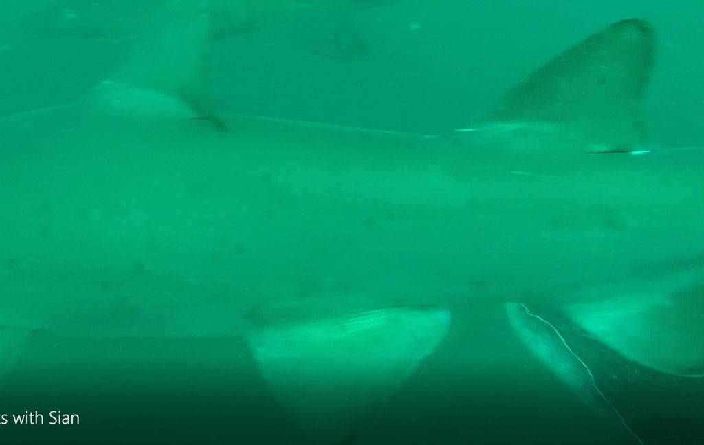 0796f4c1-05ae-4df1-b421-1caad3128b07