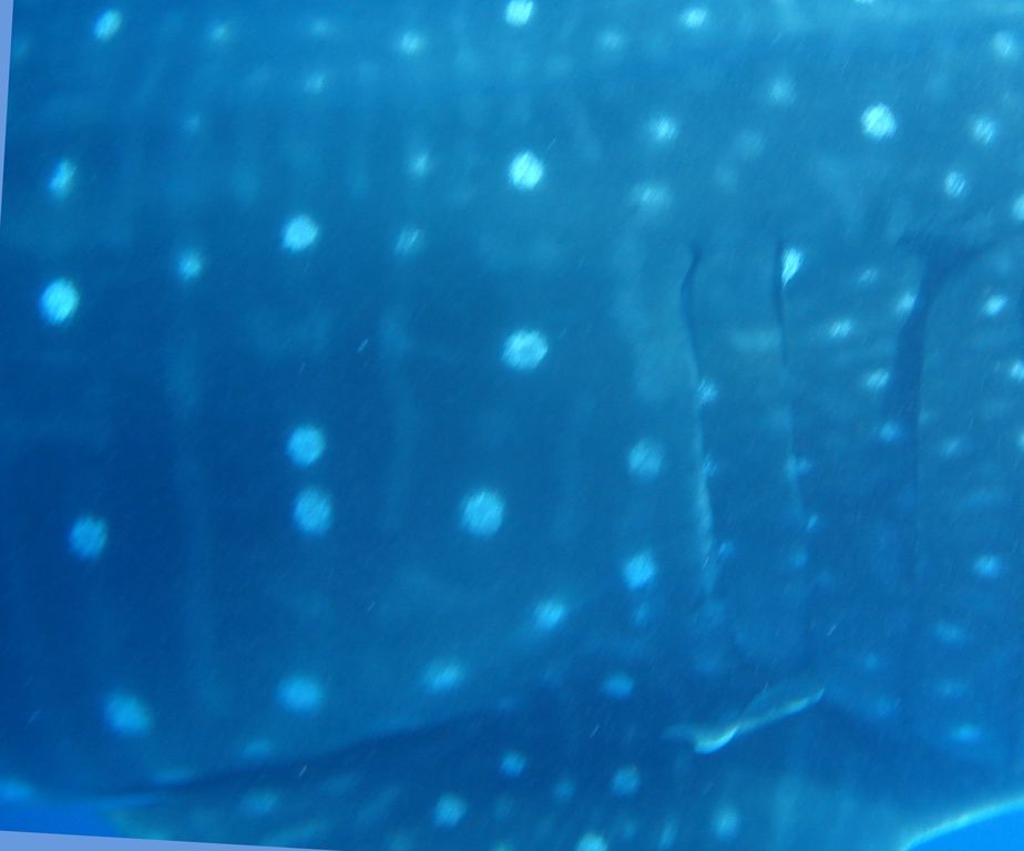 aaa76733-15ec-4841-878e-ee9c7d12b3b9