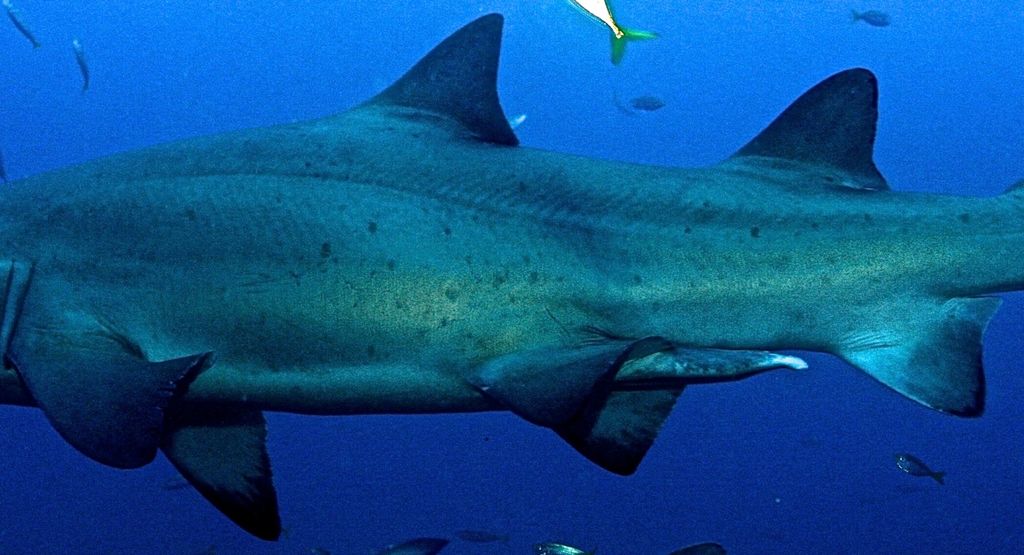 89f67ec1-ed2c-444a-a129-5c87bec3001b