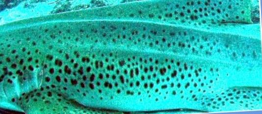 3eac13a7-72dd-4000-ad1e-0737eda0ad3b