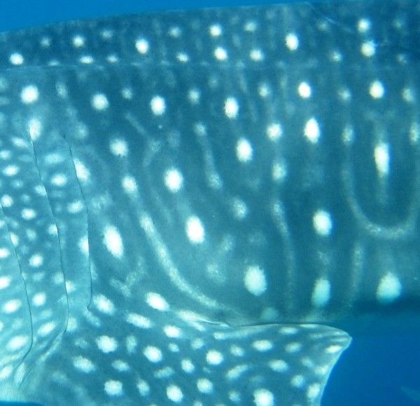 ccc683e4-5833-45db-a04f-666bc1279aa6