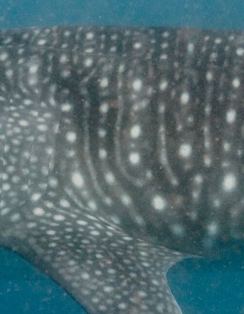 5ef4daa4-6934-4b86-a389-b2584ace1e22