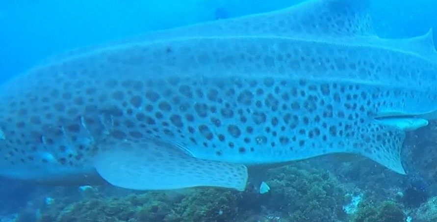 ceb7b860-cf33-46d0-9f9d-54d967501a35